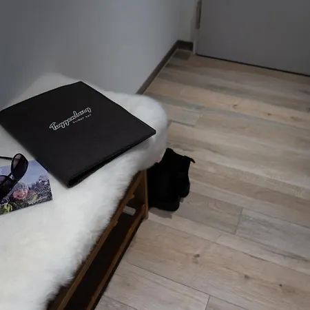 Apartment Fosi *